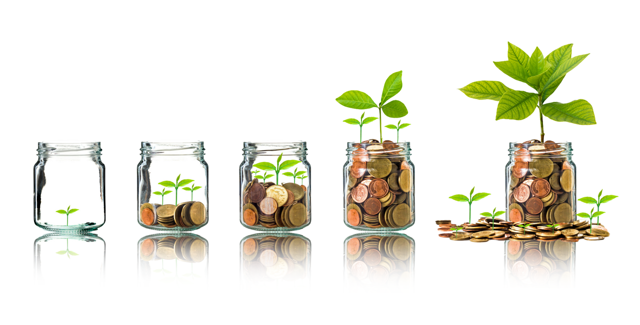 Do you need direction and support to grow your business?